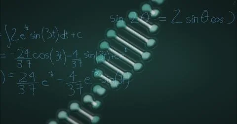 Image of mathematical equations over dna strand on black background 스톡 일러스트