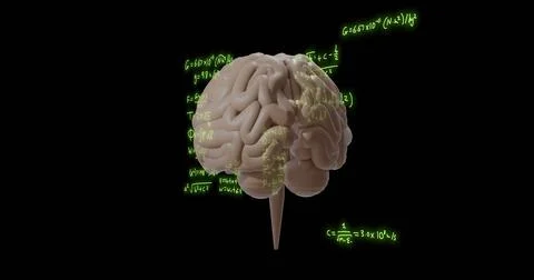 Image of mathematical equations over rotating brain on black background Stock Illustration