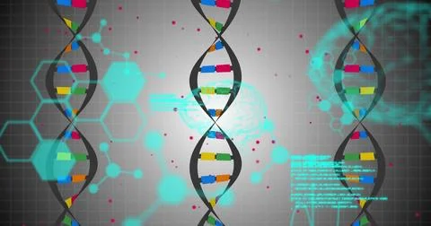 Image of medical data processing over white background Illustrazione stock
