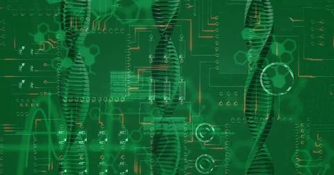 Image of medical data processing over green background Stock Photos