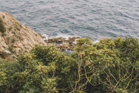 Image of a Mediterranean cliff on the European coast. Stock Photos