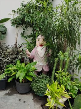 An image of medium size gnome figure. Stock Photos