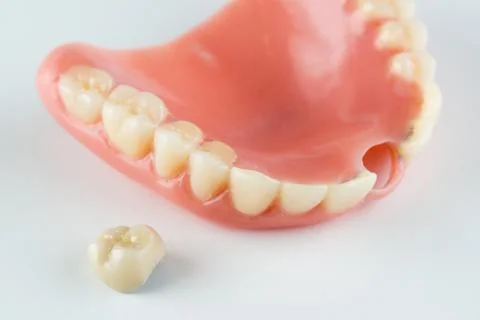 Image of a modern denture nylone Stock Photos