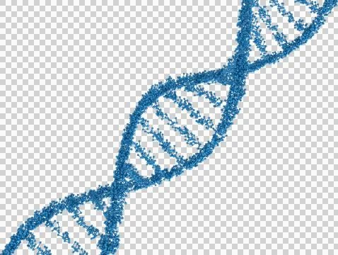 Image of molecular blue dna strand structure Stock Photos