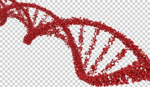 Image of molecular red dna strand structure Stock Photos
