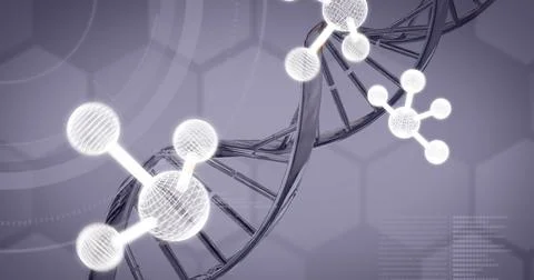 Image of molecules and data processing over dna strand on grey background Ilustração Stock