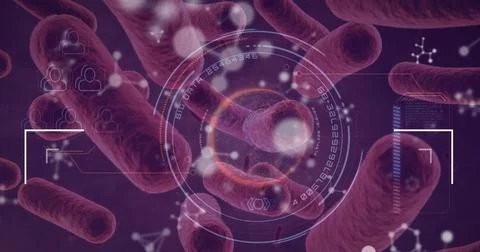 Image of molecules and data processing over virus cells Illustrazione stock
