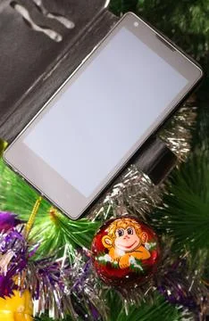 The image of a monkey on a branch of spruce Stock Photos