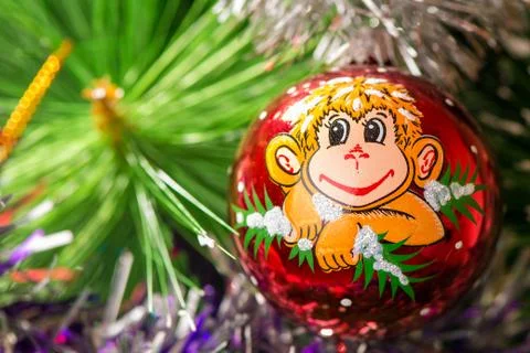 The image of a monkey on a branch of spruce Stock Photos