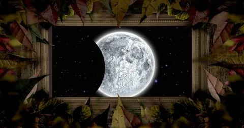 Image of moon eclipse in leaf frame 스톡 일러스트