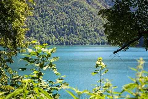 Image of mountain lake through the trees Foto stock
