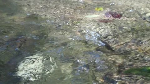 Image of a mountain stream in the fall. Stock Footage 171444147