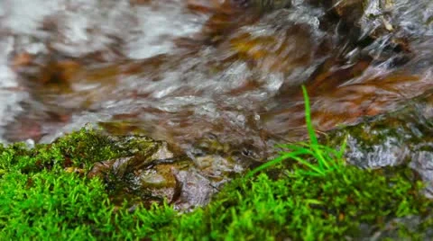 Image of a mountain summer camp Stock Footage 11075600