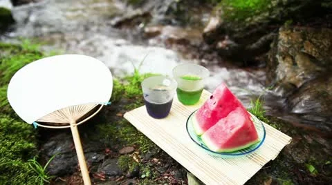 Image of a mountain summer camp Stock Footage 11075694