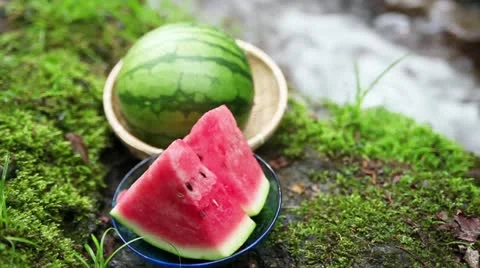 Image of a mountain summer camp Stock Footage 11075698