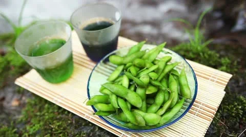 Image of a mountain summer camp Stock Footage 11075718