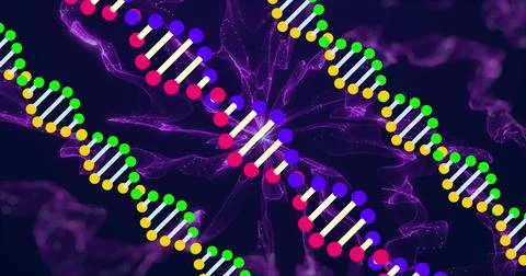 Image of moving shapes and dna strands on black background Stock Illustration