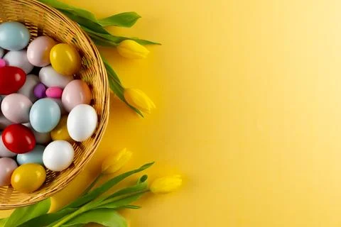 Image of multi coloured easter eggs in basket with yellow tulips and copy space Stock Photos