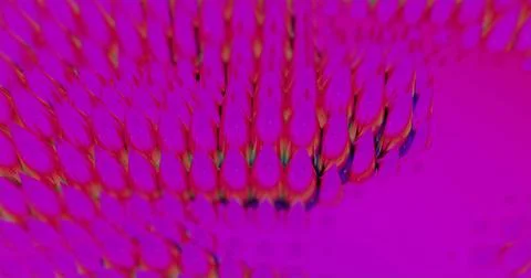 Image of multiple colourful brushes moving in formation and changing colours Stockillustratie