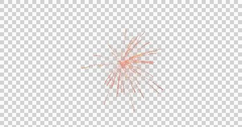 Image of multiple orange and red fireworks exploding on white background Stock Illustration