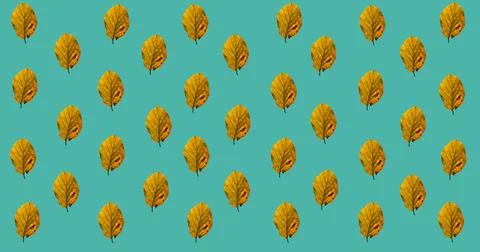 Image of multiple orange autumn leaves over blue background Ilustração Stock