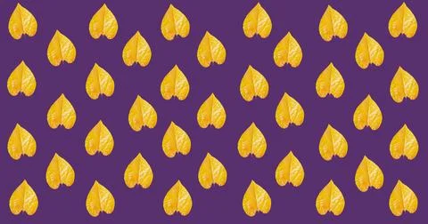 Image of multiple orange autumn leaves over purple background Ilustração Stock