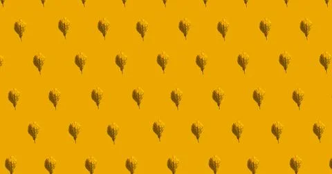 Image of multiple orange autumn over orange background Ilustração Stock