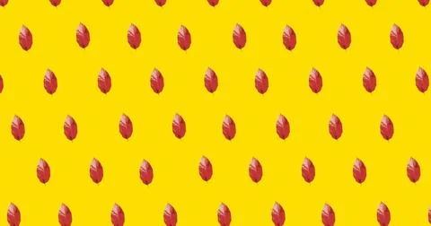 Image of multiple red autumn leaves over yellow background Ilustração Stock