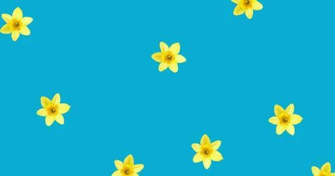 Image of multiple yellow flowers moving over blue background Stock Illustration
