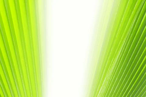 Image of a natural landscape in the abstract featuring shadows and green pa.. Stock Photos