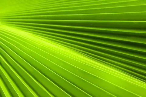Image of a natural landscape in the abstract featuring shadows and green pa.. Stock Photos