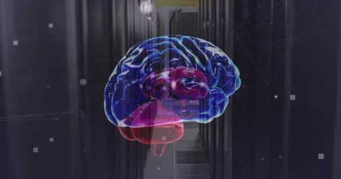 Image of network of connections and brain over server room Foto stock