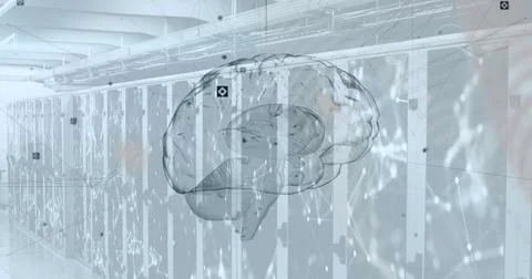 Image of network of connections and brain over server room Stock Photos