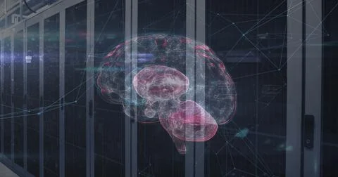 Image of network of connections and brain over data processing and server room Stock Photos