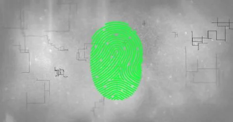 Image of network of connections and data processing over grey background Stock Illustration