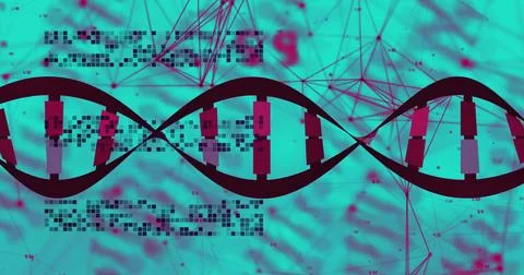Image of network of connections and data processing over dna strand spinning Foto stock