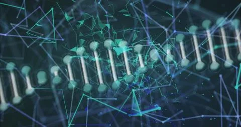 Image of network of connections and dna strand over black background Stock Illustration