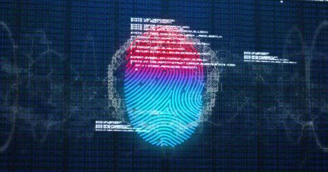 Image of network of connections with biometric fingerprint, human brain and data Stock Illustration