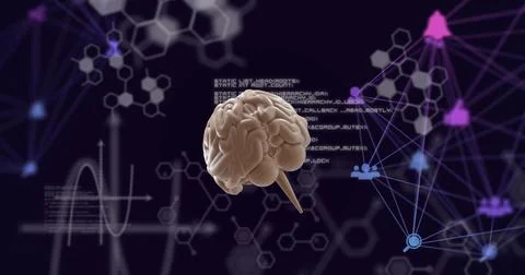 Image of network of connections over brain and data processing Illustrazione stock