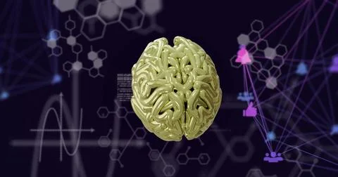 Image of network of connections over digital brain and data processing 스톡 일러스트