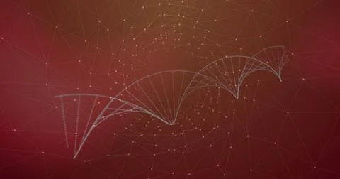 Image of network of connections over dna strand Illustrazione stock