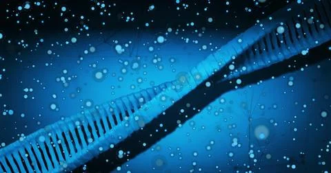 Image of network of connections over dna strand イラスト素材