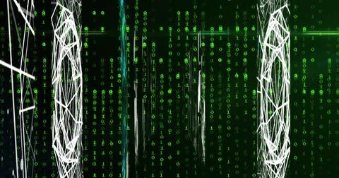 Image of networks, binary coding and data processing イラスト素材
