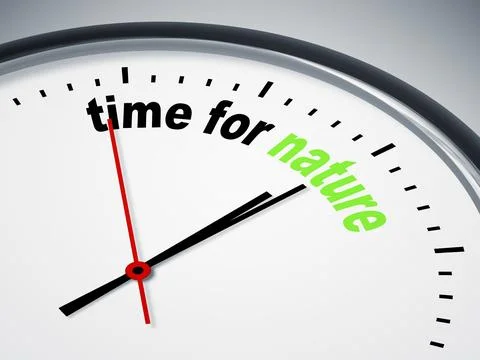 An image of a nice clock with time for nature Stock Illustration