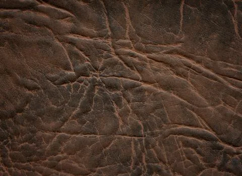 An image of a nice leather background. Cowhide texture. Stock Photos