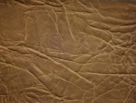 An image of a nice leather background. Cowhide texture. Stock Photos