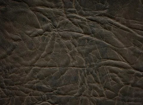 An image of a nice leather background. Cowhide texture. Stock Photos
