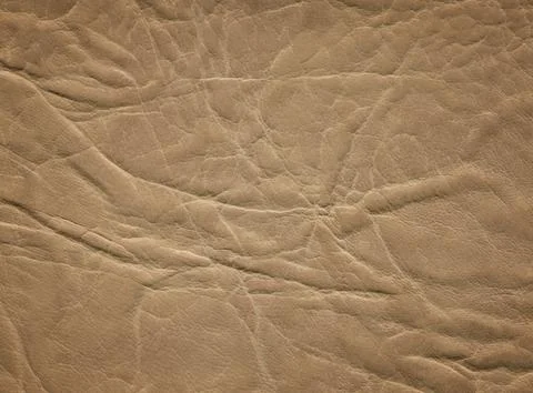 An image of a nice leather background. Cowhide texture. Stock Photos