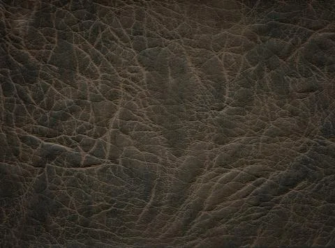 An image of a nice leather background. Cowhide texture. Stock Photos
