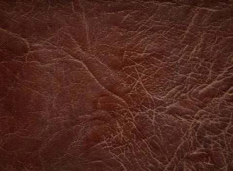 An image of a nice leather background. Cowhide texture. Stock Photos